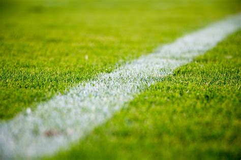 football pitch grass background